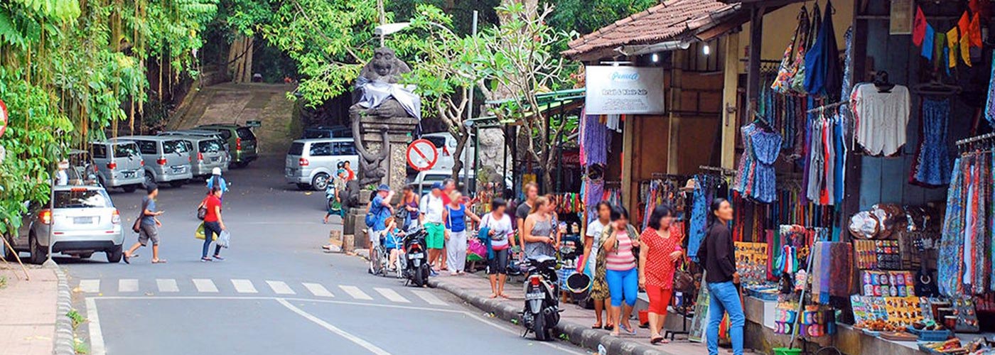 Monkey Forest Road